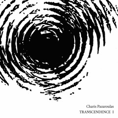 Charis Pazaroulas / T2 TO B E (excerpt)