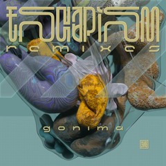 gonima - Doors Of The Mind (niko scheme Remix) [Premiere]