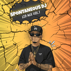 Spontaneous Dj - LSD Mix Vol.1