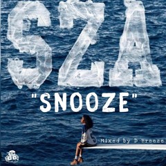 Snooze (Mix)