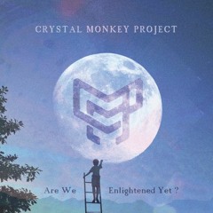 I'll Find You - Crystal Monkey Project