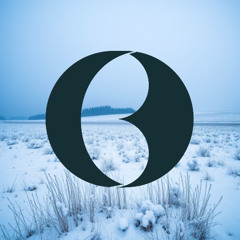 2025 Winter DNB Mix!