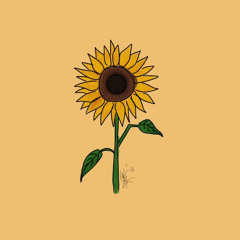 Sunflower - Rex Orange County Lofi (Credit - Alphasvara)