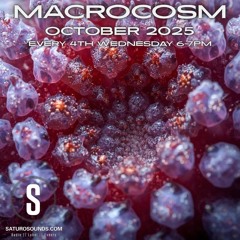 Macrocosm October 2025