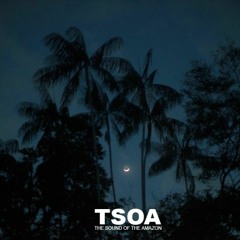 The Sound of Amazonia (TSOA)