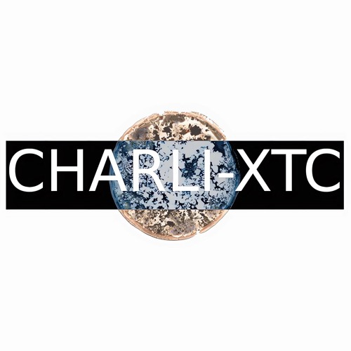 CHARLI-XTC (prod Shouiyo)