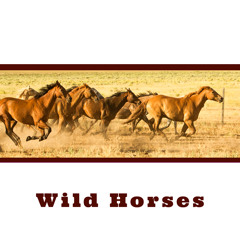 Wild Horses (Draft)