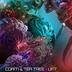 Coam & Tea Tree - Lift [Mindspring Music]