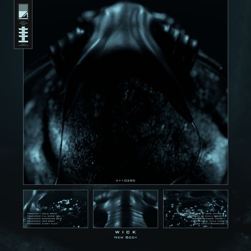 New Body EP