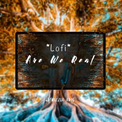 Are We Real - Lofi Hiphop