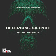 Delerium Feat.Sarah McLachlan - Silence (DJ BigGrand TechHouse Mix)