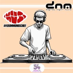 Digital Night Music pres. Krumm & Schief Edition 420