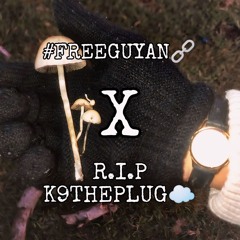 #FREEGUYAN🔗 X R.I.P K9THEPLUG☁️ (FREESTYLE)