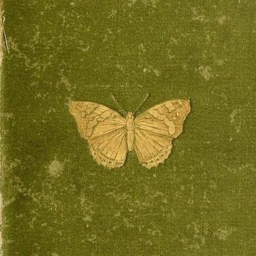 The Innocence Mission - Green Bus (poqpie Cover)