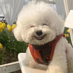 Nhạc Chill Đi Bộ