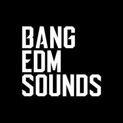 Bang EDM Sounds Vol.1