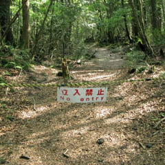 аокигахара (demakroys, weizz, runawway)