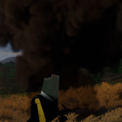 THE MUSIC FLOWS THROUGH ME