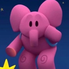 フェスティバル