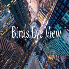 BIRDS EYE VIEW (Unreleased 2019)