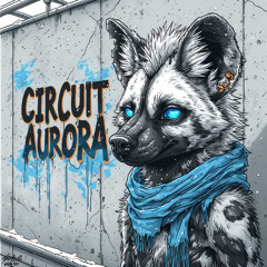 Circuit Aurora