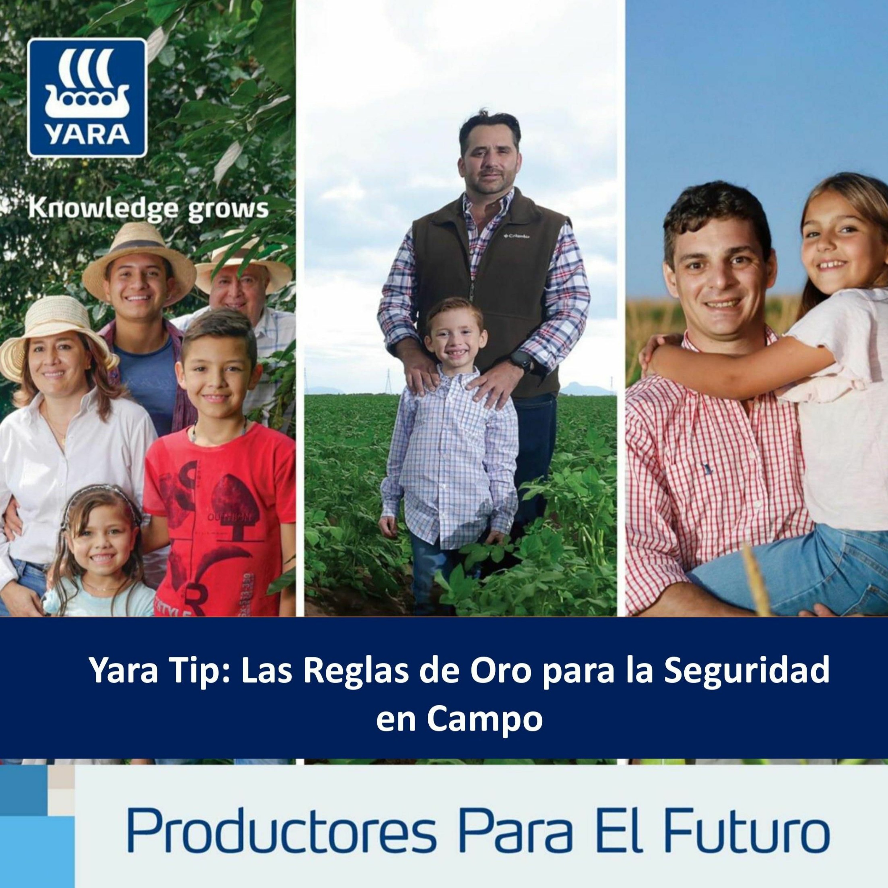 Productores Para El Futuro