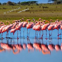 DJ JC & DJ FanjoG - Lake Nakuru