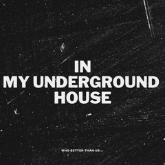 IN MY UNDERGROUND HOUSE #1