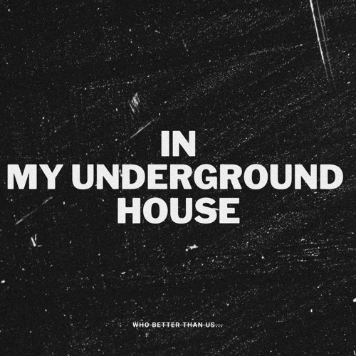 IN MY UNDERGROUND HOUSE #1