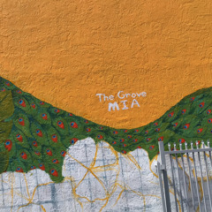 The Art Of Storytelling Freestyle