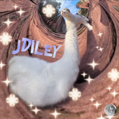 JDiley @JonnyKnüppel Berlin | 17.05.25