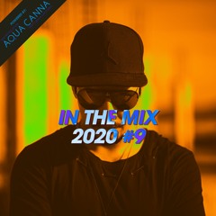 DiMO (BG) - 2020 #9 - In The Mix Podcast