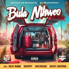 DJ MAPHORISA - Bula Nthweo (Official Audio)