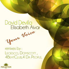Your Voice (4 da People Abstract Rub)