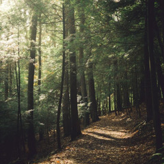 Out Of The Woods x Question…? - Taylor Swift Mashup