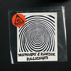 Destroyers & Hankook - Hallucinate
