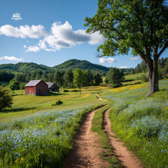 sunlight on the ridge