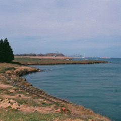 The Way It Used to Bay