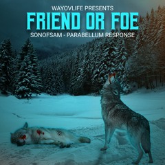 FRIEND OR FOE (PARABELLUM RESPONSE)