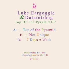 Luke Eargoggle / Dataintrång - Top Of The Pyramid EP RTTD025 Previews