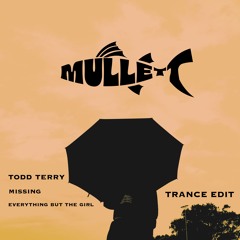Missing- Todd terry (Trance edit)