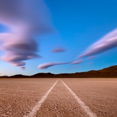 In A Synthetic Landscape