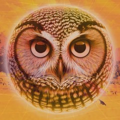 Ride the Light (Original Mix)