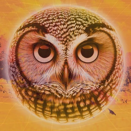 Ride the Light (Original Mix)