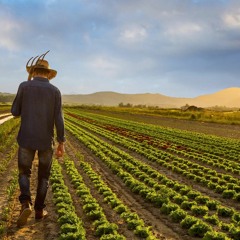 Theme and Variations on "Farmer in the Dell"