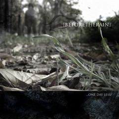 Before The Rain - Frameless