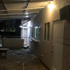 afraid of crushes - canada geese