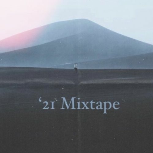 2021 Year Mix