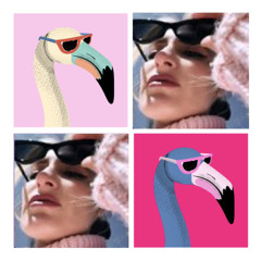 French Flamingo Mix 001