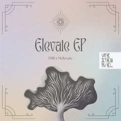 Ritual feat. vicenodice (FBR’s Club Mix)